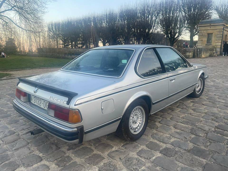 Immagine 11/37 di BMW 635 CSi (1979)