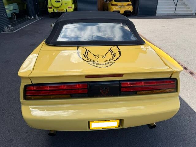 Image 6/25 of Pontiac Firebird TransAm (1992)