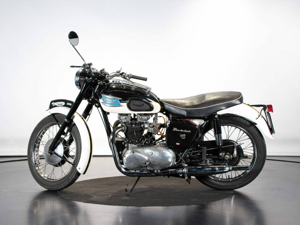 Image 1/50 de Triumph 6T Thunderbird (1958)