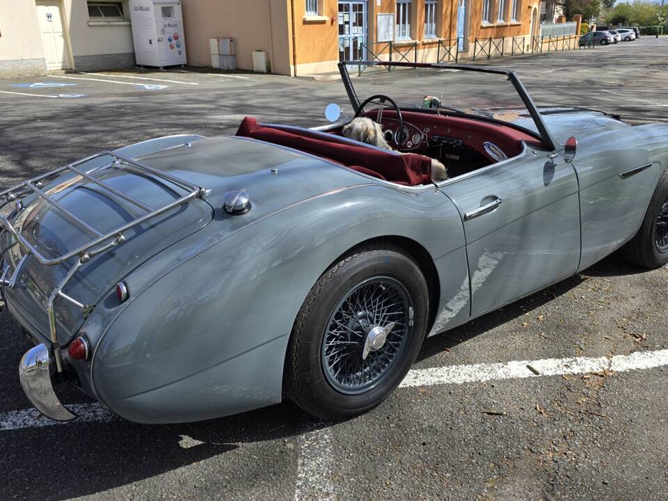 Image 16/17 of Austin-Healey 100/6 (BN6) (1959)