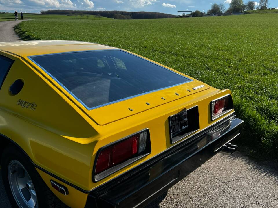 Immagine 14/26 di Lotus Esprit (1977)