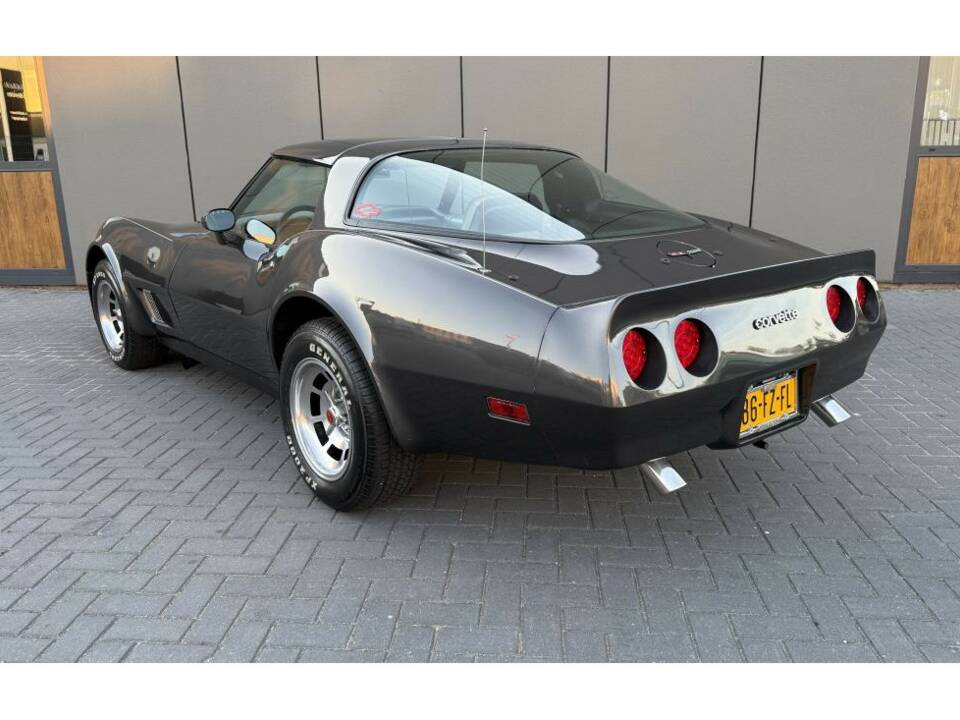 Bild 12/14 von Chevrolet Corvette Sting Ray (1981)
