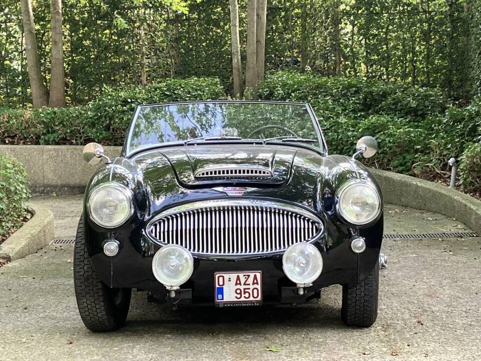 Bild 8/8 von Austin-Healey 3000 Mk II (BT7) (1962)