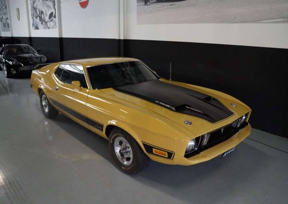 Image 17/50 de Ford Mustang Mach 1 (1973)