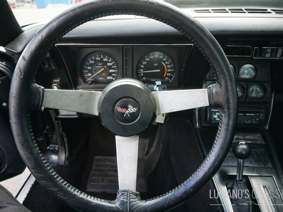 Bild 38/58 von Chevrolet Corvette Sting Ray (1979)