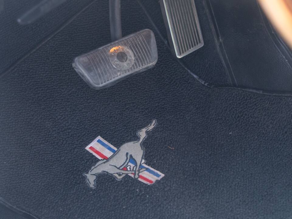 Image 37/54 of Ford Shelby GT 350 (1965)