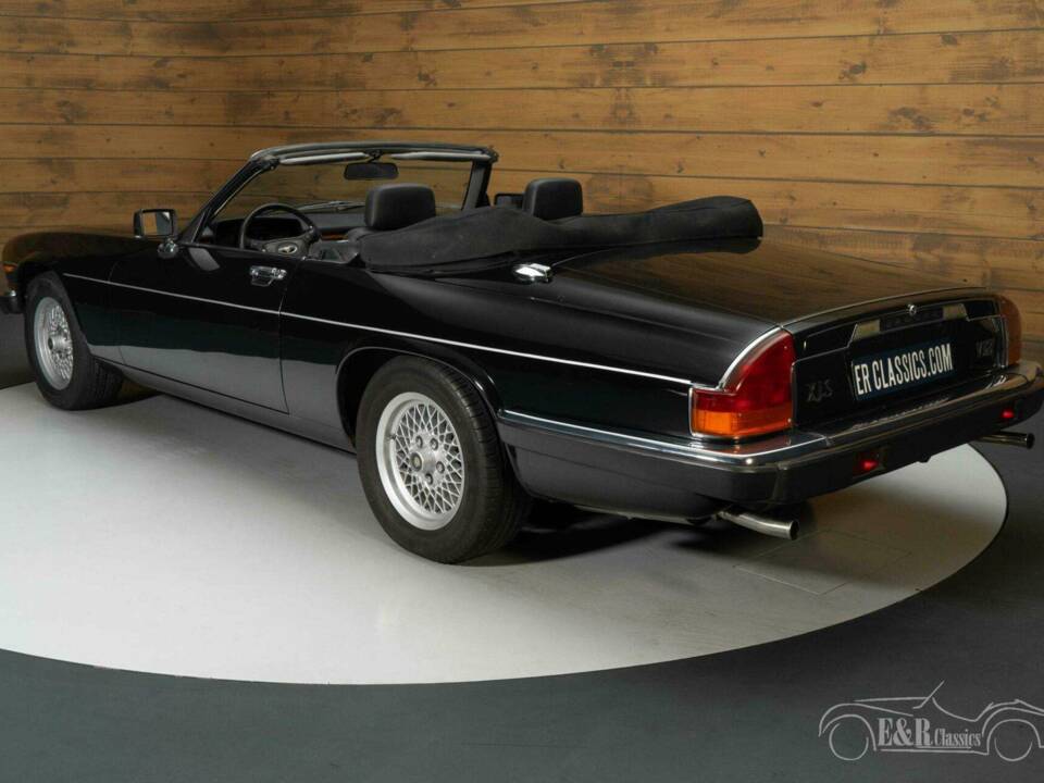 Image 6/19 de Jaguar XJS 5.3 V12 (1990)