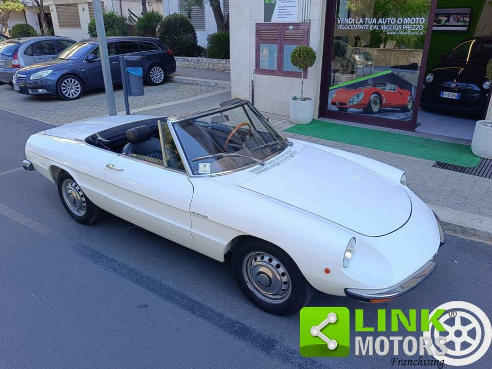 Bild 4/10 von Alfa Romeo Spider 1600 Junior (1975)