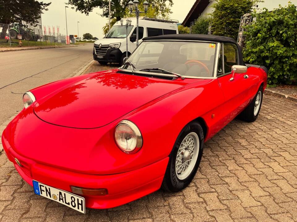 Afbeelding 6/37 van Alfa Romeo 1.6 Spider (1984)