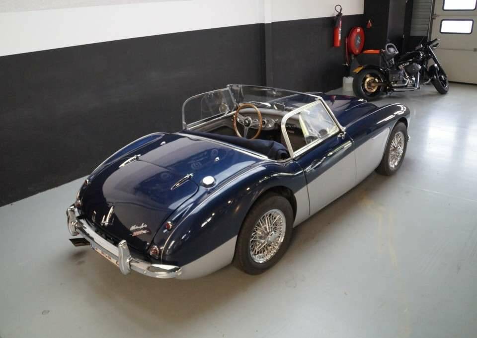 Immagine 4/50 di Austin-Healey 3000 Mk II (BN7) (1961)