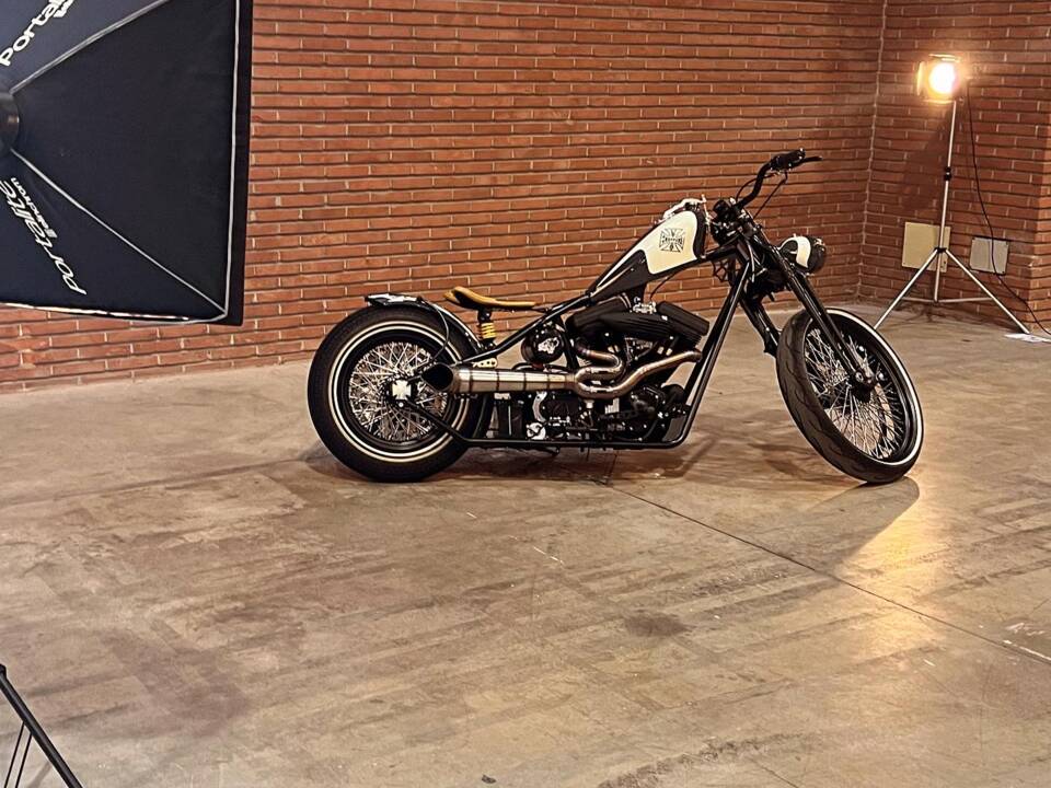 Imagen 35/60 de Harley-Davidson DUMMY (2017)
