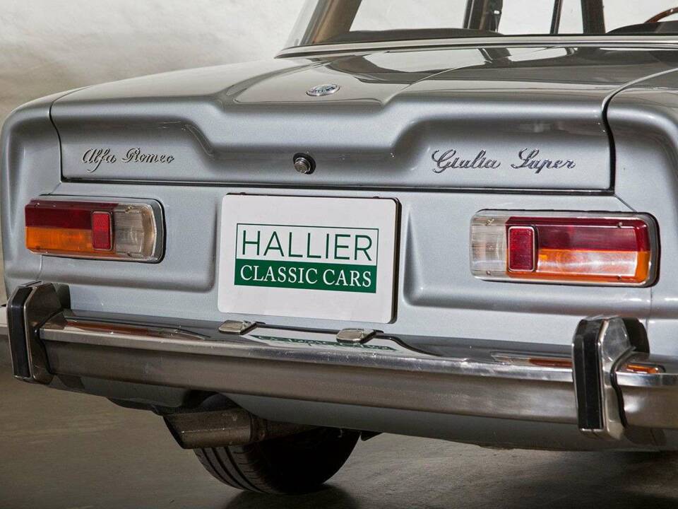 Image 10/23 of Alfa Romeo Giulia 1600 Super Biscione (1970)