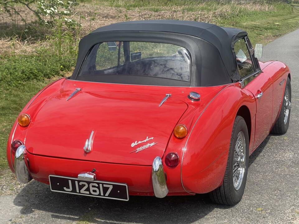 Bild 4/12 von Austin-Healey 3000 Mk III (BJ8) (1967)