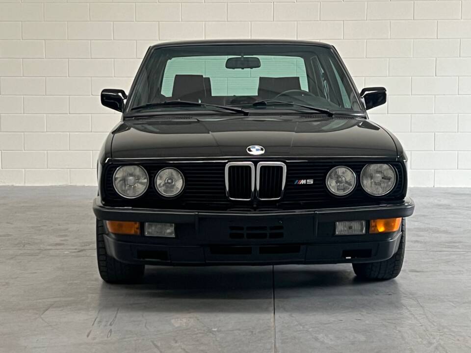 Image 5/21 de BMW M5 (1987)