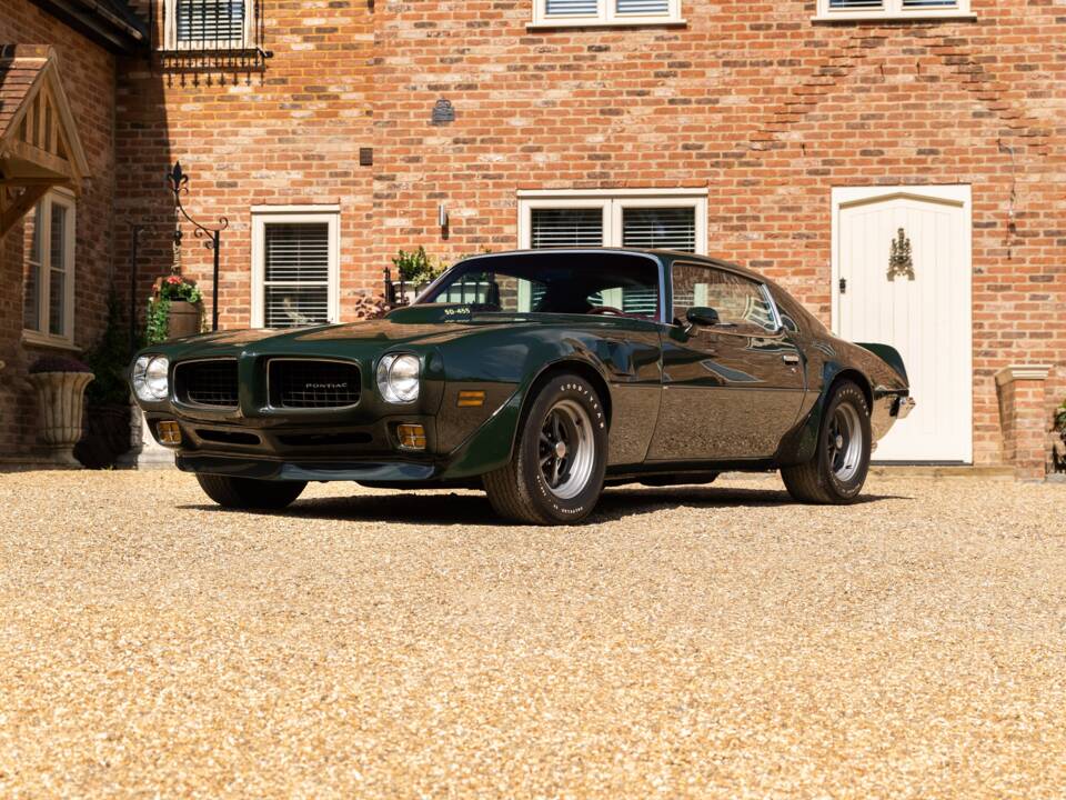 Immagine 29/49 di Pontiac Firebird TransAm (1973)