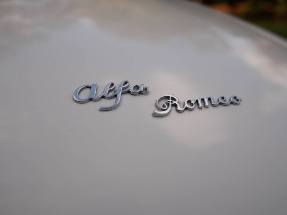 Image 7/50 de Alfa Romeo 1600 Spider Duetto (1967)