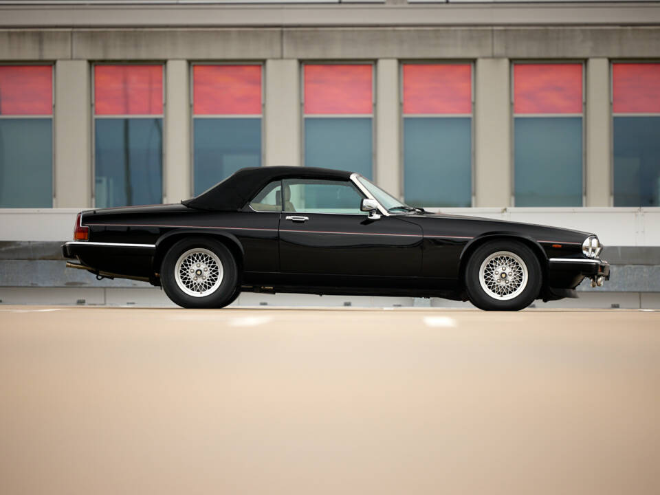 Image 14/37 de Jaguar XJ-S Convertible (1989)