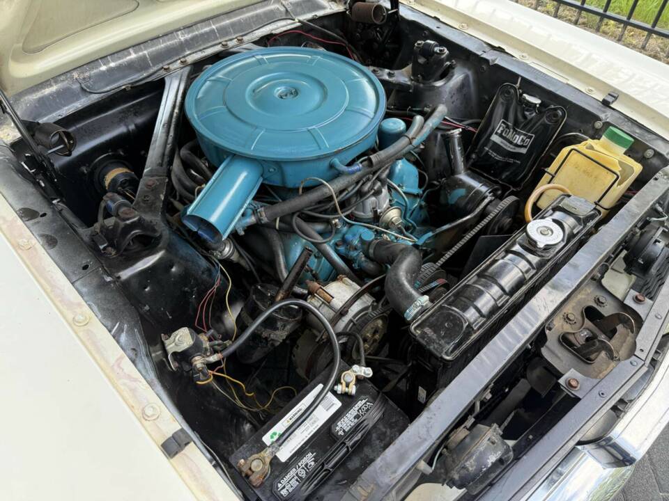 Image 25/40 of Ford Shelby GT 350 (1966)