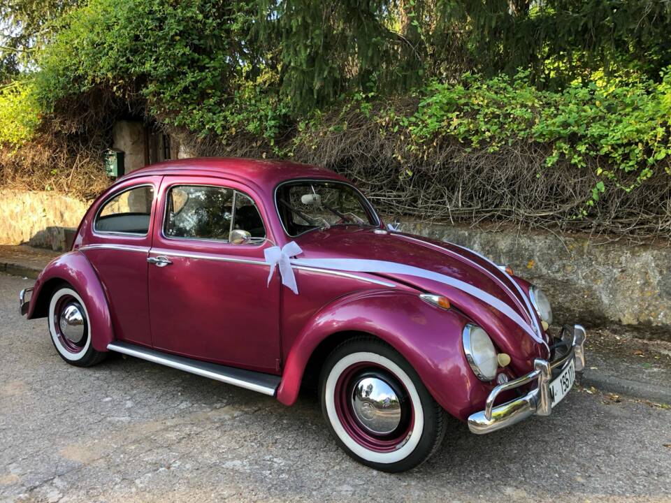 Imagen 9/15 de Volkswagen Käfer 1200 Standard &quot;Ovali&quot; (1956)