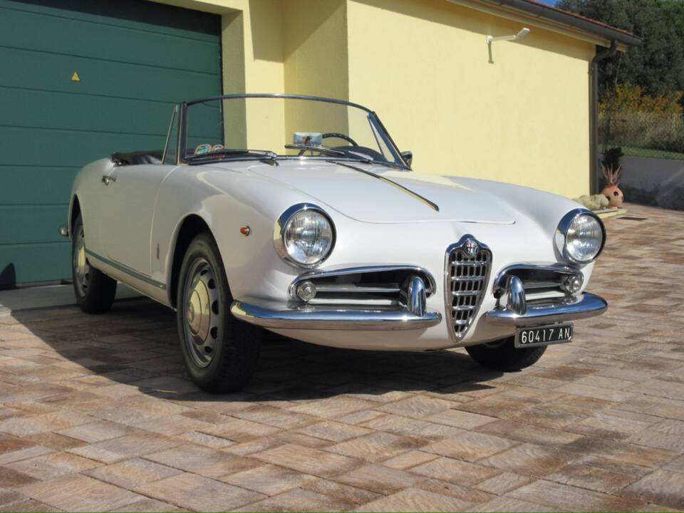 Bild 1/30 von Alfa Romeo Giulietta Spider (1961)