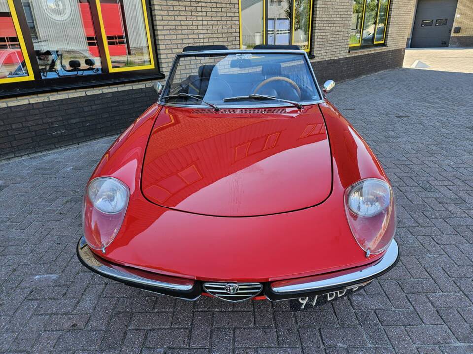 Afbeelding 8/8 van Alfa Romeo 2000 Spider Veloce (1974)