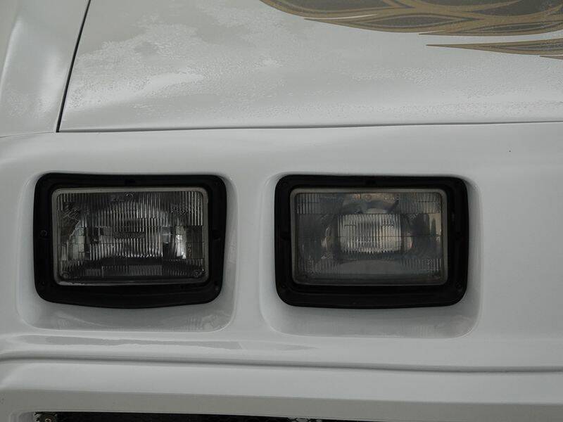 Bild 12/15 von Pontiac Firebird Turbo TransAm (1981)