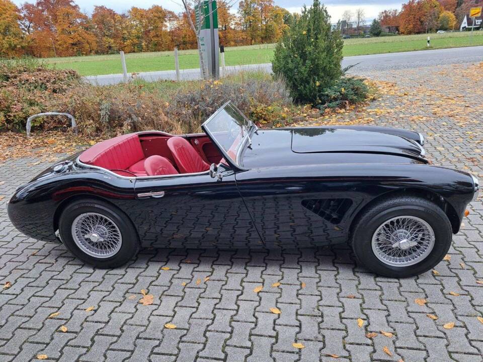 Bild 6/25 von Austin-Healey 100/6 (BN6) (1959)