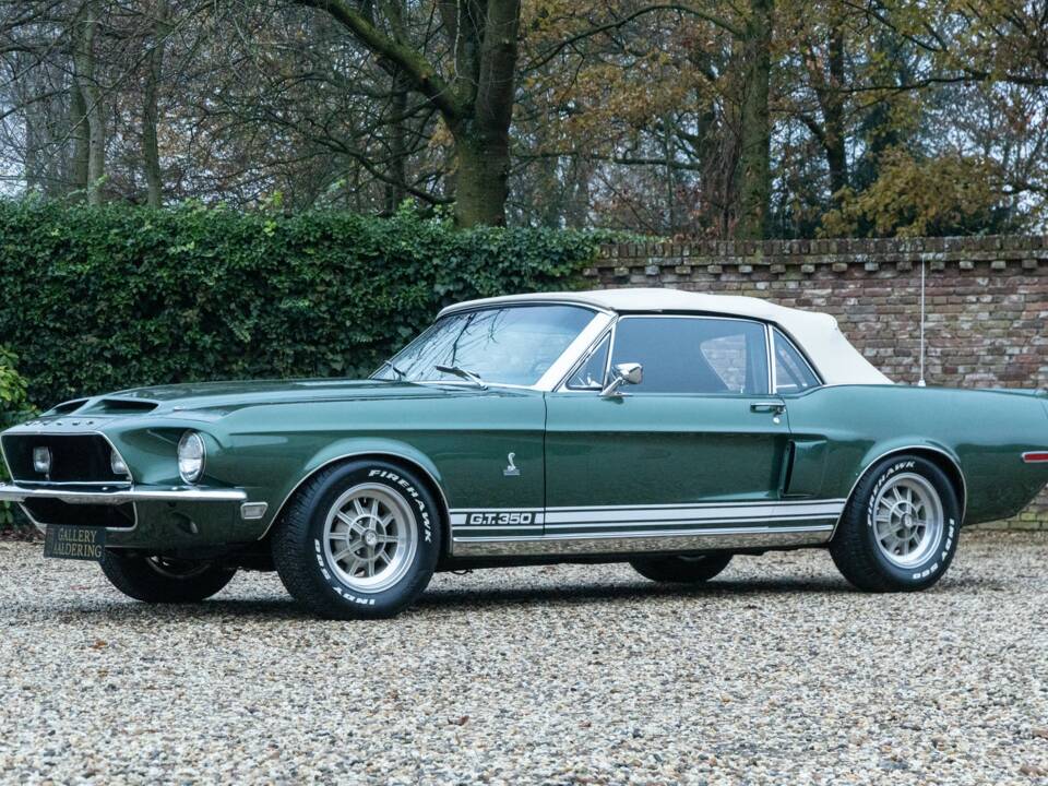 Immagine 48/50 di Ford Shelby GT 350 (1968)