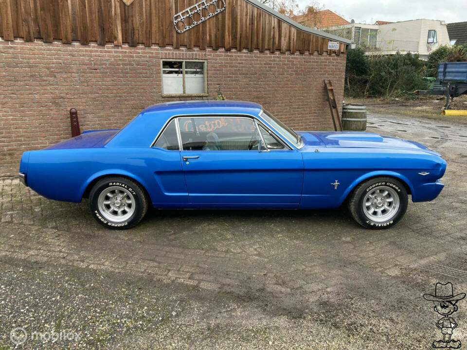 Image 2/50 of Ford Shelby GT 350 (1966)