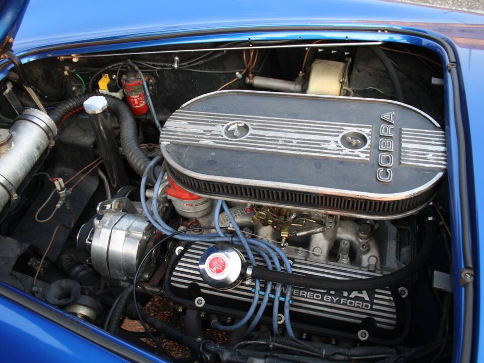 Bild 12/13 von Unique Motorcars 289 FIA Cobra Replica (1989)