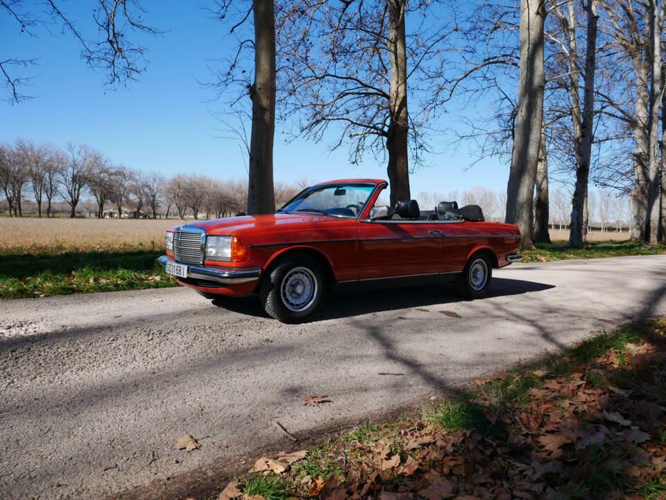 Image 6/29 de Mercedes-Benz 230 C (1977)