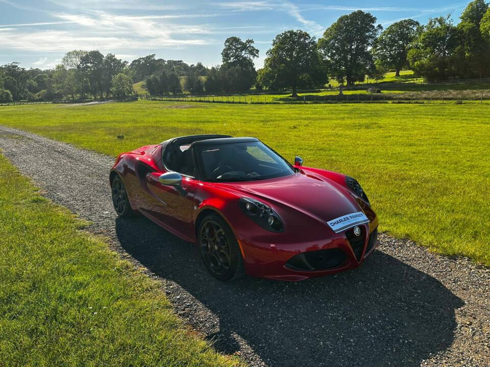Bild 3/47 von Alfa Romeo 4C Spider (2015)