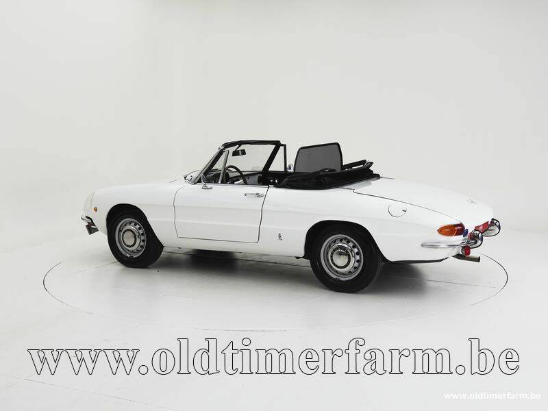 Image 4/15 of Alfa Romeo 1300 Spider Junior (1969)