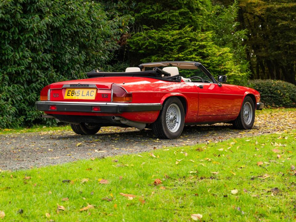 Image 25/50 de Jaguar XJS 5.3 V12 (1988)