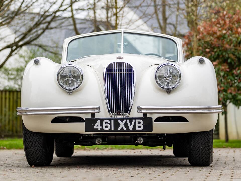 Image 6/50 of Jaguar XK 120 DHC (1953)