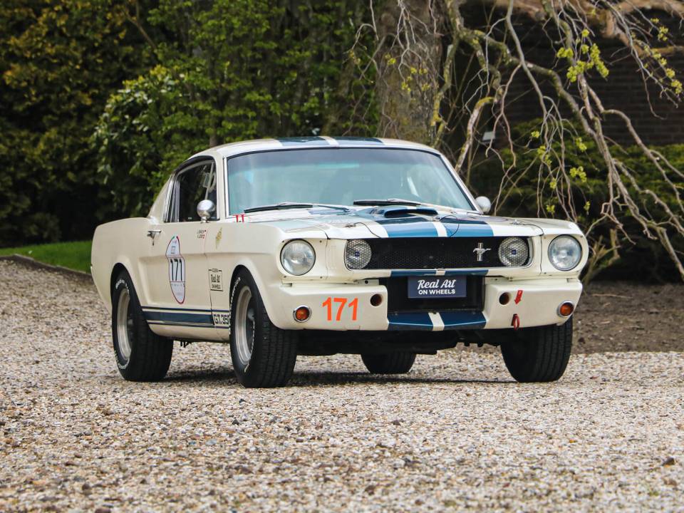 Image 1/31 of Ford Shelby GT 350 (1965)
