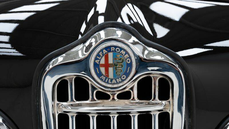 Bild 14/15 von Alfa Romeo Giulia 1600 Spider (1963)