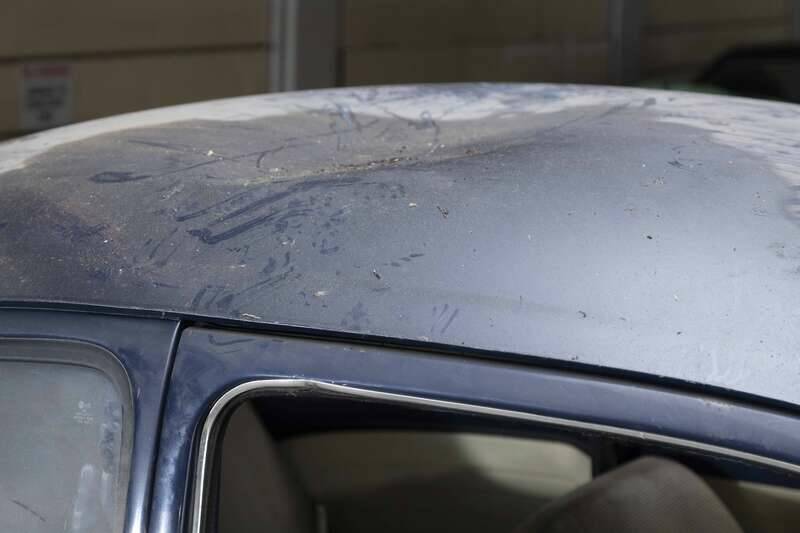 Imagen 45/50 de Volkswagen Kever 1200 (1970)