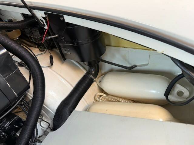 Image 19/24 of Amphicar 770 (1967)