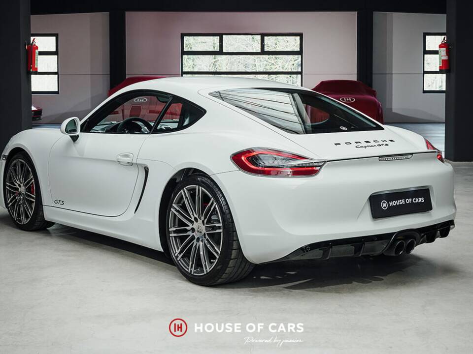 Bild 9/25 von Porsche Cayman GTS (2015)