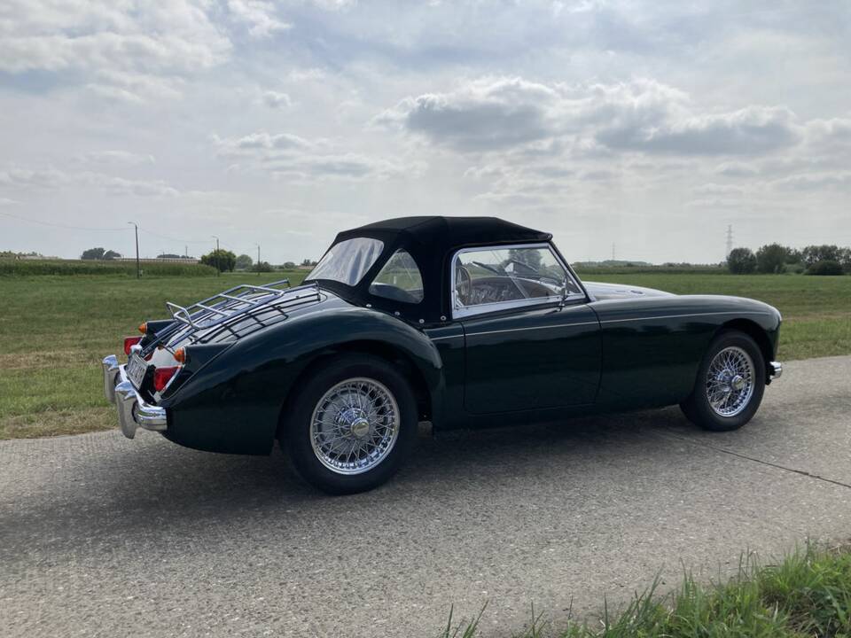 Bild 7/8 von MG MGA 1600 (1959)