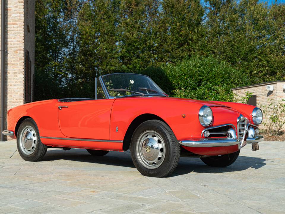Immagine 4/50 di Alfa Romeo Giulia 1600 Spider (1964)