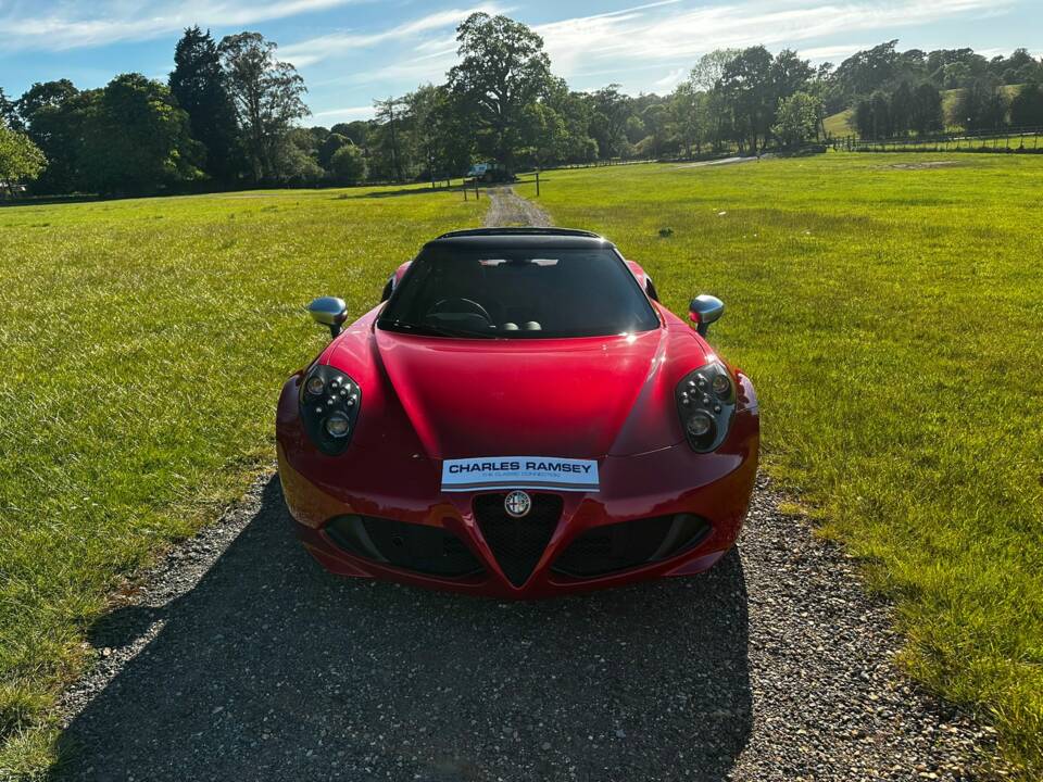 Bild 2/47 von Alfa Romeo 4C Spider (2015)