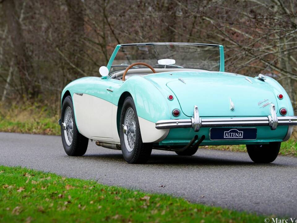 Immagine 43/48 di Austin-Healey 3000 Mk I (BN7) (1960)