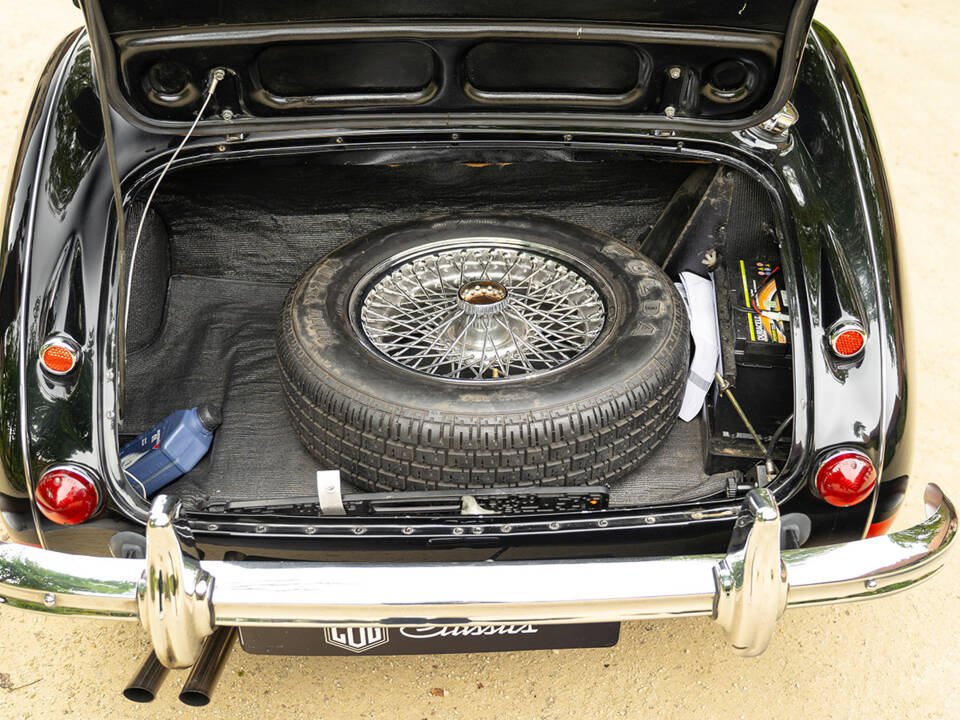 Immagine 55/62 di Austin-Healey 3000 Mk III (BJ8) (1965)