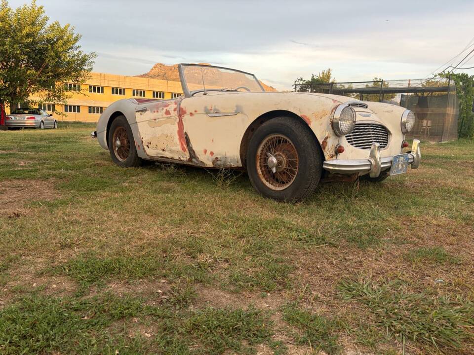 Bild 15/22 von Austin-Healey 3000 Mk II (BN7) (1960)