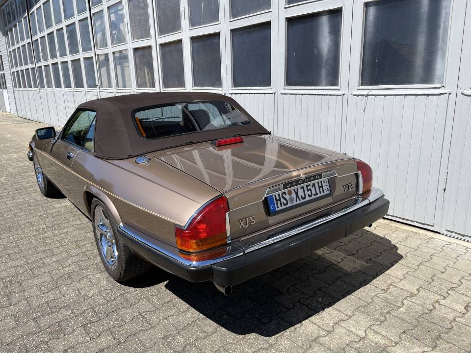 Bild 7/42 von Jaguar XJ-S Convertible (1989)