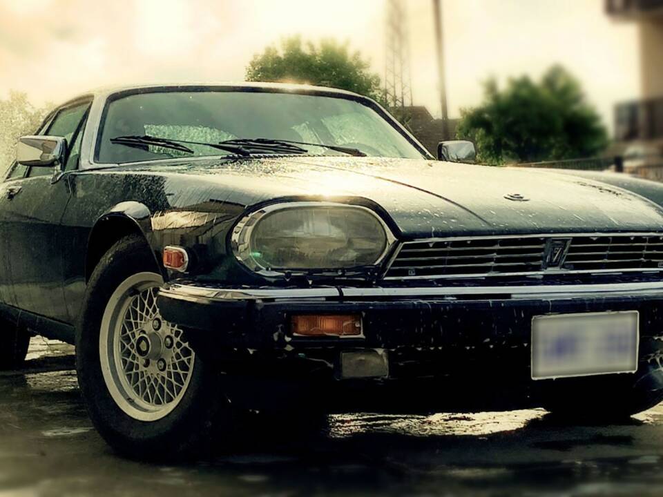 Image 4/8 of Jaguar XJ-S V12 (1989)