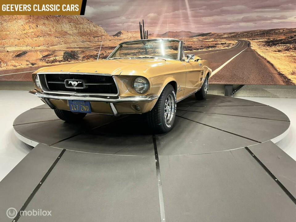 Immagine 10/46 di Ford Mustang 390 (1967)