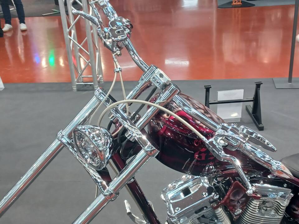 Bild 11/15 von Harley-Davidson DUMMY (2007)